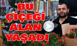 YILBAŞINA SAYILI GÜNLER KALA ÇİÇEKÇİLERDE TATLI BİR TELAŞ BAŞLADI