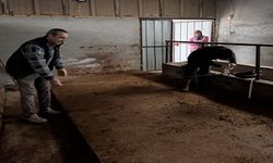 BÜYÜKBAŞ HAYVANCILIK İŞLETMELERİNDE KAPASİTE KONTROLLERİ