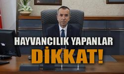 HAYVAN SEVKLERİNDE AŞILAMA KURALLARI GÜNCELLENDİ