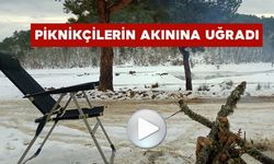 YAĞAN KAR SONRASI ADLİYE GÖLEDİ PİKNİKÇİLERİN AKININA UĞRADI