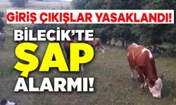 BİLECİK'TE ŞAP ALARMI: HAYVAN GİRİŞ-ÇIKIŞLARI YASAKLANDI