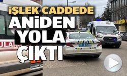 OTOMOBİLE ÇARPMAMAK İÇİN ANİ FREN YAPAN MOTOSİKLETLİ YARALANDI