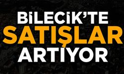 KONUT SATIŞI YÜZDE 17,7 ORANINDA ARTTI