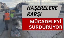 HAŞERELERE KARŞI KIŞLIK MÜCADELE