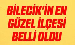 YAPAY ZEKÂYA GÖRE BİLECİK'İN EN GÜZEL İLÇESİ SÖĞÜT