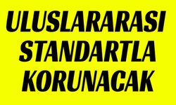 BŞEÜ’DE DİJİTAL VERİLER ULUSLARARASI STANDARTLA KORUNACAK