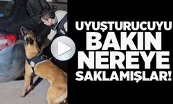 220 GRAM UYUŞTURUCU MADDEYİ ÇADIRIN İÇİNE SAKLAMIŞLAR