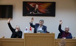 ŞUBAT AYI MECLİS TOPLANTISI GERÇEKLEŞTİRİLDİ