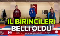 OKUL SPOR FAALİYETLERİ TAEKWONDO GENÇLER İL BİRİNCİLİĞİ TAMAMLANDI