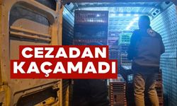 BELGESİZ HAYVAN SEVKİNE 52 BİN 720 TL CEZA