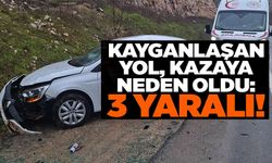 KAYGAN YOL KAZAYA NEDEN OLDU: 2 YARALI