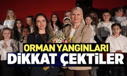 BURSA'DA ORMAN YANGINLARINA DİKKAT ÇEKEN PİYANO KONSERİ VERDİLER