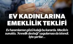 EV KADINLARINA EMEKLİLİK TEKLİFİ: 'ANNELİK DESTEĞİ' UYGULAMASI DA İSTENDİ