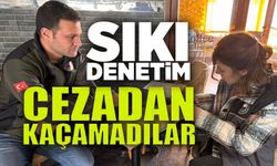 GIDA İŞLETMELERİNE DENETİM