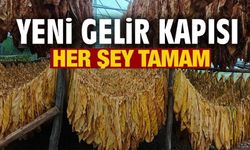 TÜTÜN VE İPEKBÖCEĞİ İÇİN İLK ADIM ATILDI