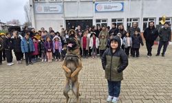 BOMBA ARAMA KÖPEK UNSURLARIYLA TANITIM FAALİYETİ DÜZENLENDİ