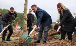 ŞEYH EDEBALİ’NİN VEFATININ 700. YIL DÖNÜMÜNDE 700 ÇINAR TOPRAKLA BULUŞTU