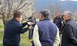 ÜRETİCİLERE GÜBRELEME VE BUDAMA KURSU