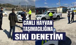 KONTROLSÜZ HAYVAN SEVKİYATLARINA YOL DENETİMİ