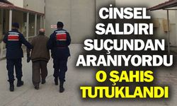 CİNSEL SALDIRI SUÇUNDAN ARANIYORDU YAKALANDI