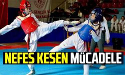 TEKVANDO YILDIZLAR İL BİRİNCİLİĞİ TAMAMLANDI