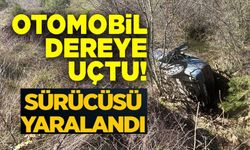 OTOMOBİL DEREYE UÇTU, 1 KİŞİ YARALANDI
