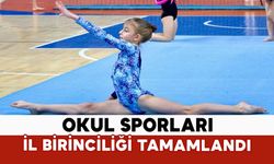 ARTİSTİK JİMNASTİK İL BİRİNCİLİĞİ MÜSABAKALARI TAMAMLANDI