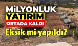 MİLYONLUK SOKAK HAYVANLARI DOĞAL YAŞAM ALANI ORTADA KALDI