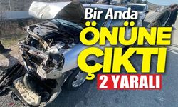 YOL ÜZERİNDEKİ KALAS PARÇASI KAZAYA SEBEP OLDU, 2 YARALI