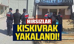 BİLECİK’TE HIRSIZLIK SUÇUNDAN ARANAN ŞAHISLAR YAKALANDI