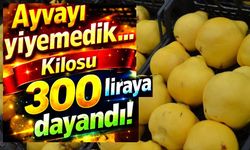 AYVAYI YİYEMEDİK...KİLOSU 300 LİRAYA DAYANDI; LÜKS OLDU