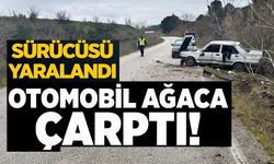 DİREKSİYON HAKİMİYETİNİ KAYBEDEN SÜRÜCÜ AĞACA ÇARPTI: 1 YARALI