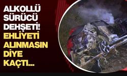 ALKOLLÜ SÜRÜCÜ BARİYERLERE ÇARPTI, ARAÇ ALEV ALDI