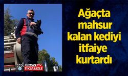 AĞAÇTA KALAN KEDİYİ İTFAİYE KURTARDI
