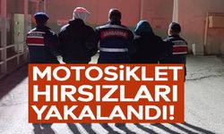 2 HIRSIZLIK SÜPHELİSİ TUTUKLANDI