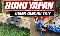KAMU ALANLARINA VERİLEN ZARARA TEPKİ