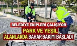 BAHAR HAZIRLIKLARI BAŞLADI