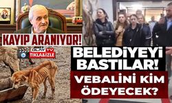 HAYVAN BARINAĞINDAKİ ŞOK GÖRÜNTÜLER SONRASI HAYVANSEVERLER BELEDİYEYİ BASTI