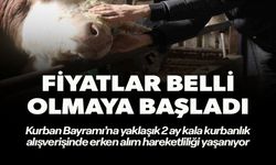 FİYATLAR BELLİ OLMAYA BAŞLADI