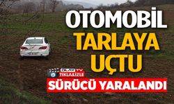 KONTROLDEN ÇIKAN OTOMOBİL TARLAYA UÇTU, SÜRÜCÜSÜ AĞIR YARALANDI