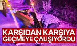 YARALI KÖPEK İHBARINA JANDARMA MÜDAHALE ETTİ