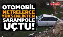 KONTROLDEN ÇIKAN OTOMOBİL ŞARAMPOLE UÇTU, SÜRÜCÜSÜ YARALANDI