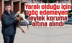 YARALI LEYLEK KORUMA ALTINA ALINDI