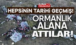 TARİHİ GEÇMİŞ YÜZLERCE ŞALGAM SUYU ŞİŞESİNİ ORMANLIK ALANA ATTILAR