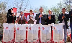 ‘YAĞLIK AYÇİÇEĞİ TOHUMU DAĞITIM PROGRAMI' GERÇEKLEŞTİRİLDİ