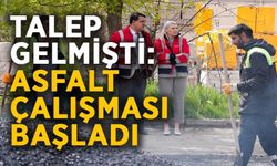 BAŞKAN SUBAŞI KÜÇÜK SANAYİ VE SOĞUKSU MEZARLIĞI'NDA ÇALIŞMALARI İNCELEDİ