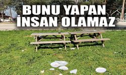 BUNU YAPAN İNSAN OLAMAZ