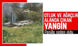 OTLUK ALANDA ÇIKAN YANGIN KORKUTTU