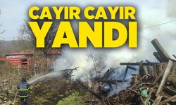 ARAÇ YANGINI ODUNLUĞA SIÇRADI