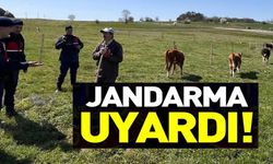 HAYVAN HIRSIZLIĞI VE DOLANDIRICILIK UYARISI